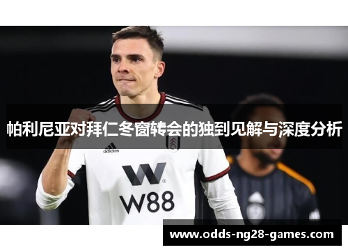 帕利尼亚对拜仁冬窗转会的独到见解与深度分析