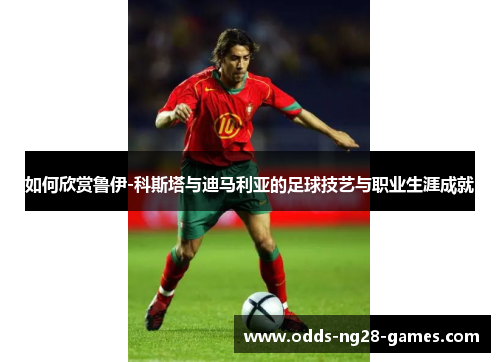 如何欣赏鲁伊-科斯塔与迪马利亚的足球技艺与职业生涯成就