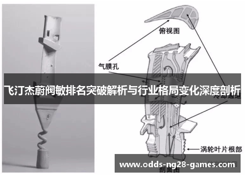 飞汀杰蔚阀敏排名突破解析与行业格局变化深度剖析