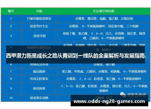 西甲潜力新星成长之路从青训到一线队的全面解析与发展指南